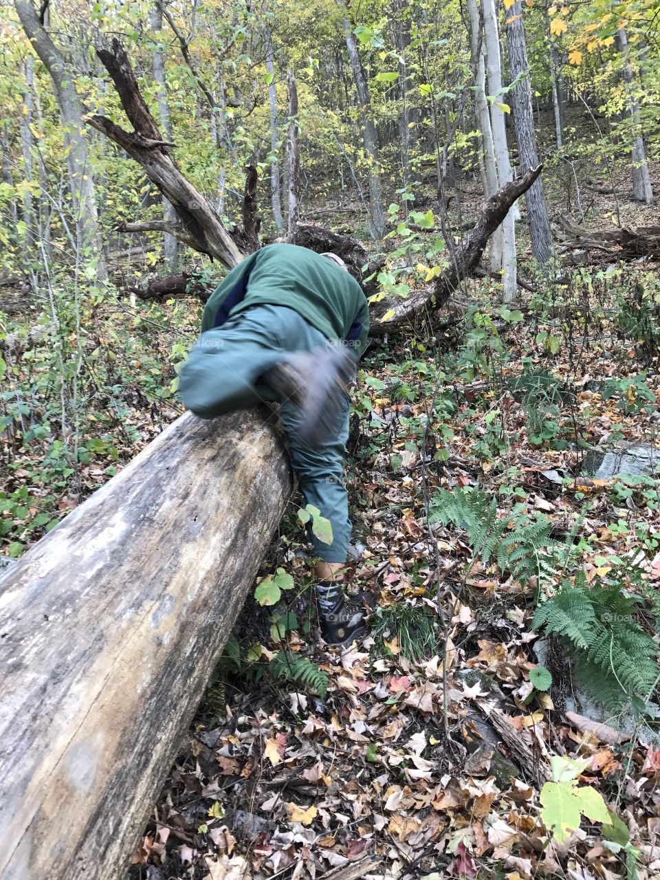 Jumping the log