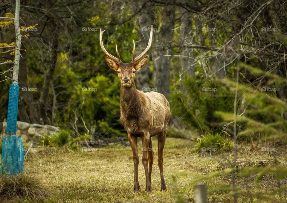 Regalo de la naturaleza