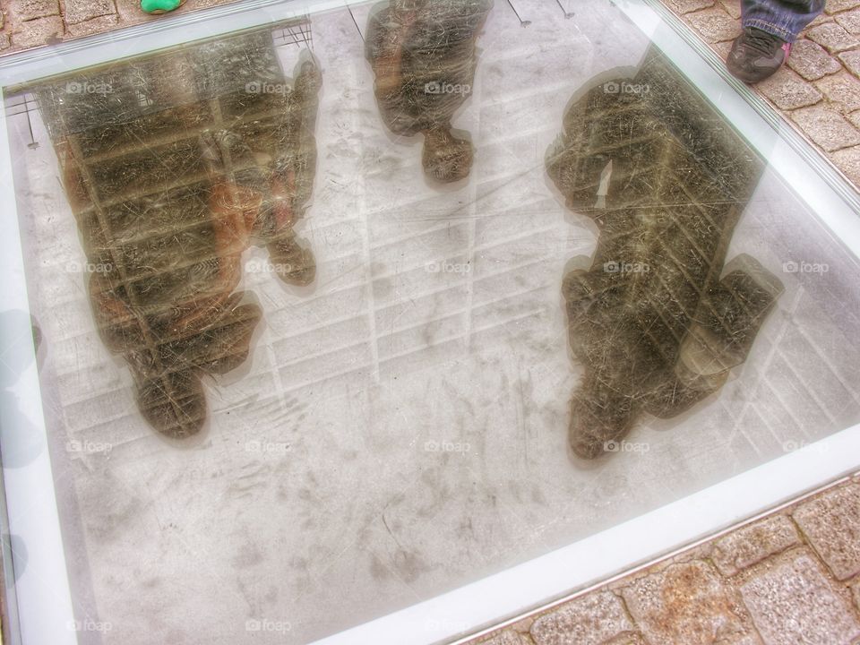 shadow -v- reflextions