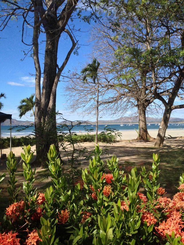 Tamarindo Beach