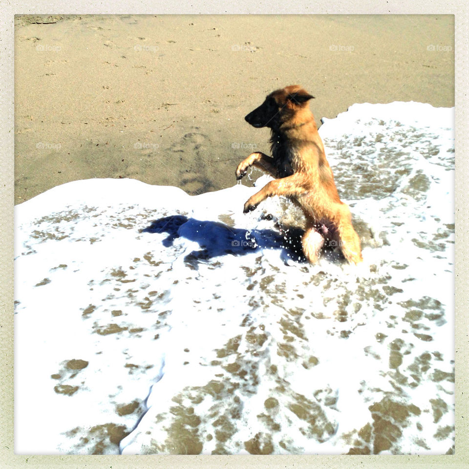 oxnard beach play water by gatoritis