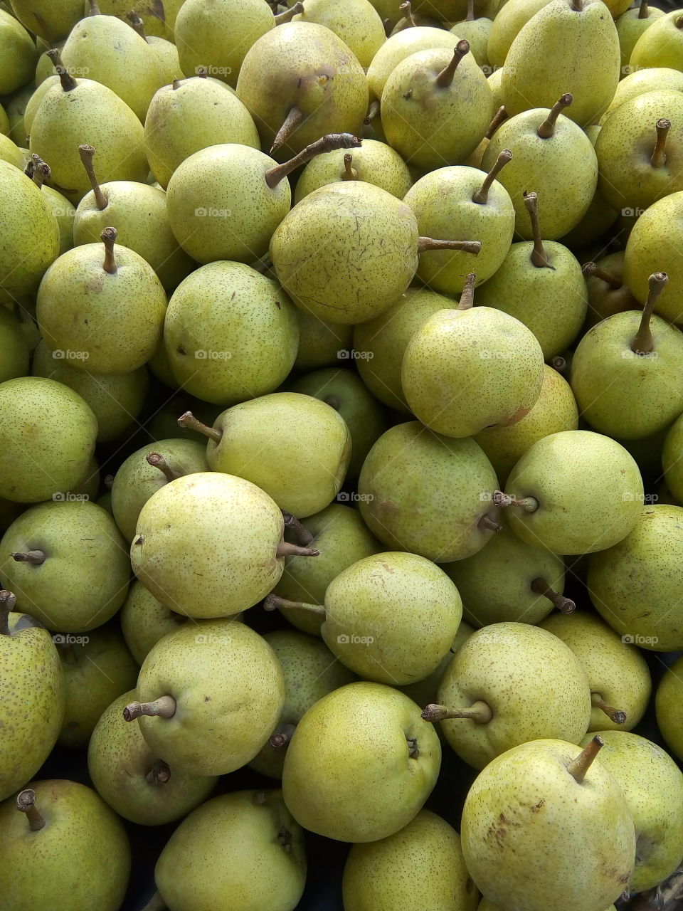 pear- a fruit of summer season.