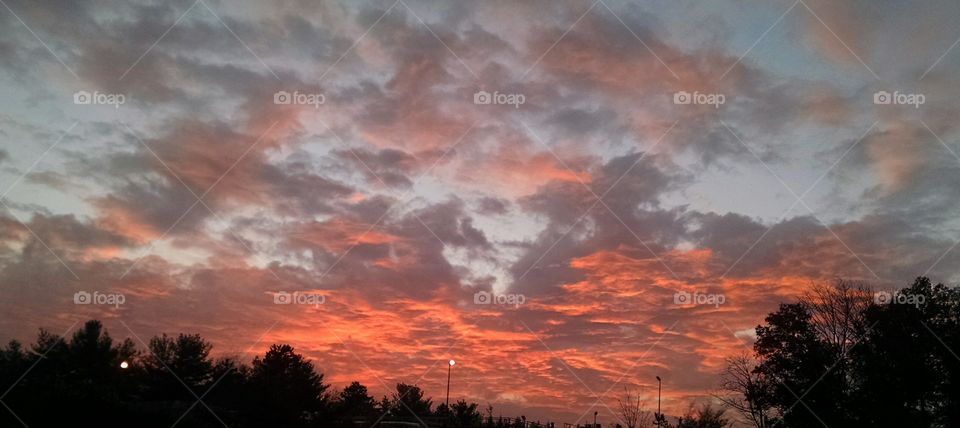 Fire in the Sky. I took this pic on Rt 287 south in New Jersey on 11/8.2015 in the early morning on my way to work