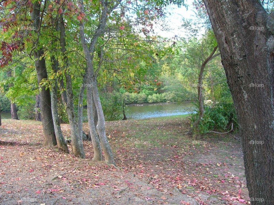 Hike by the lake 