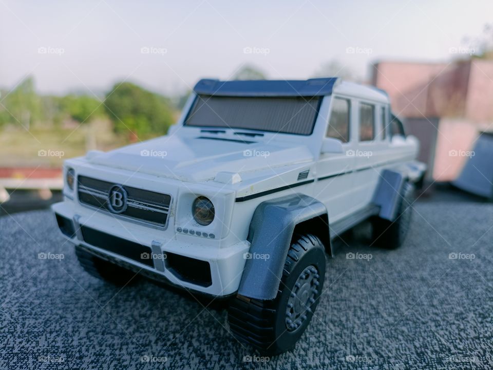 editors' choice: photo of the week