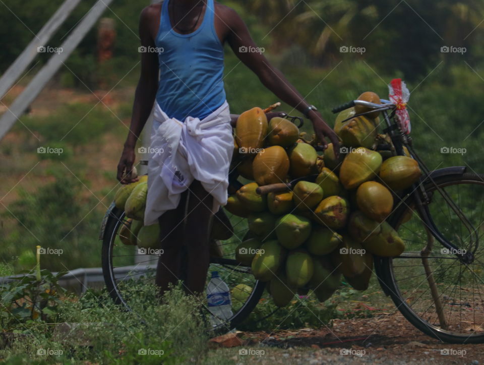 coconut on highway