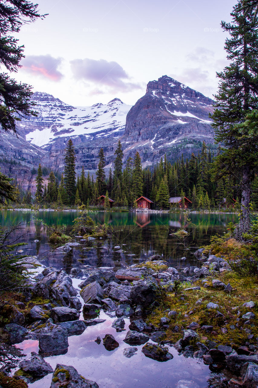 Cabin reflection