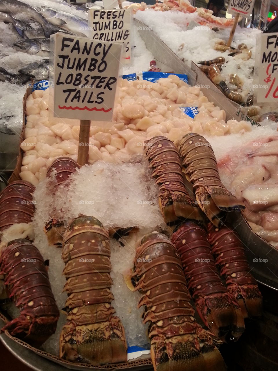 Seafood. the biggest lobster I've ever laid my eyes on.