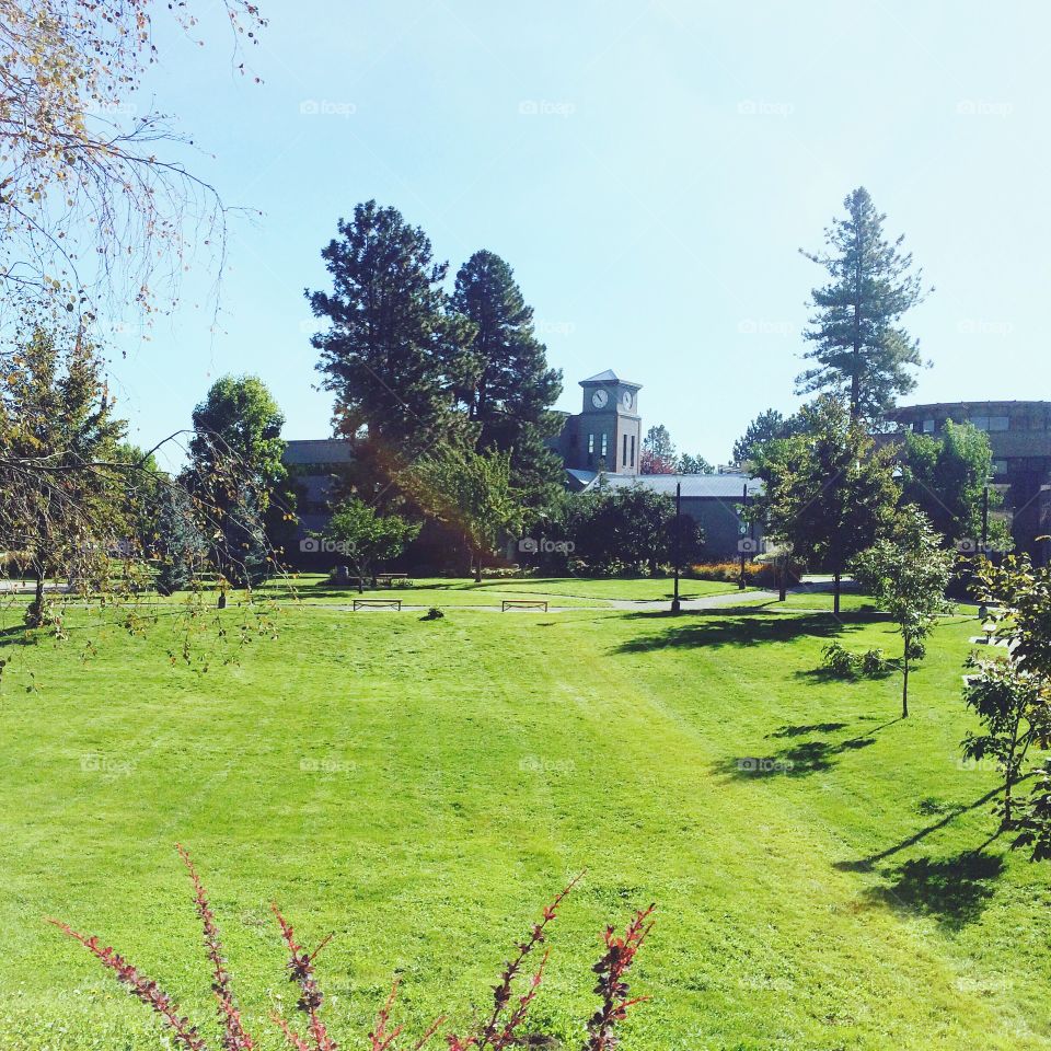 University to study! 