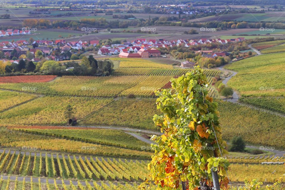 View over vineyards and villages in colorful autumn