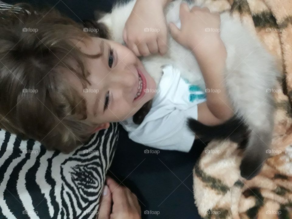 blonde child playing with the cat