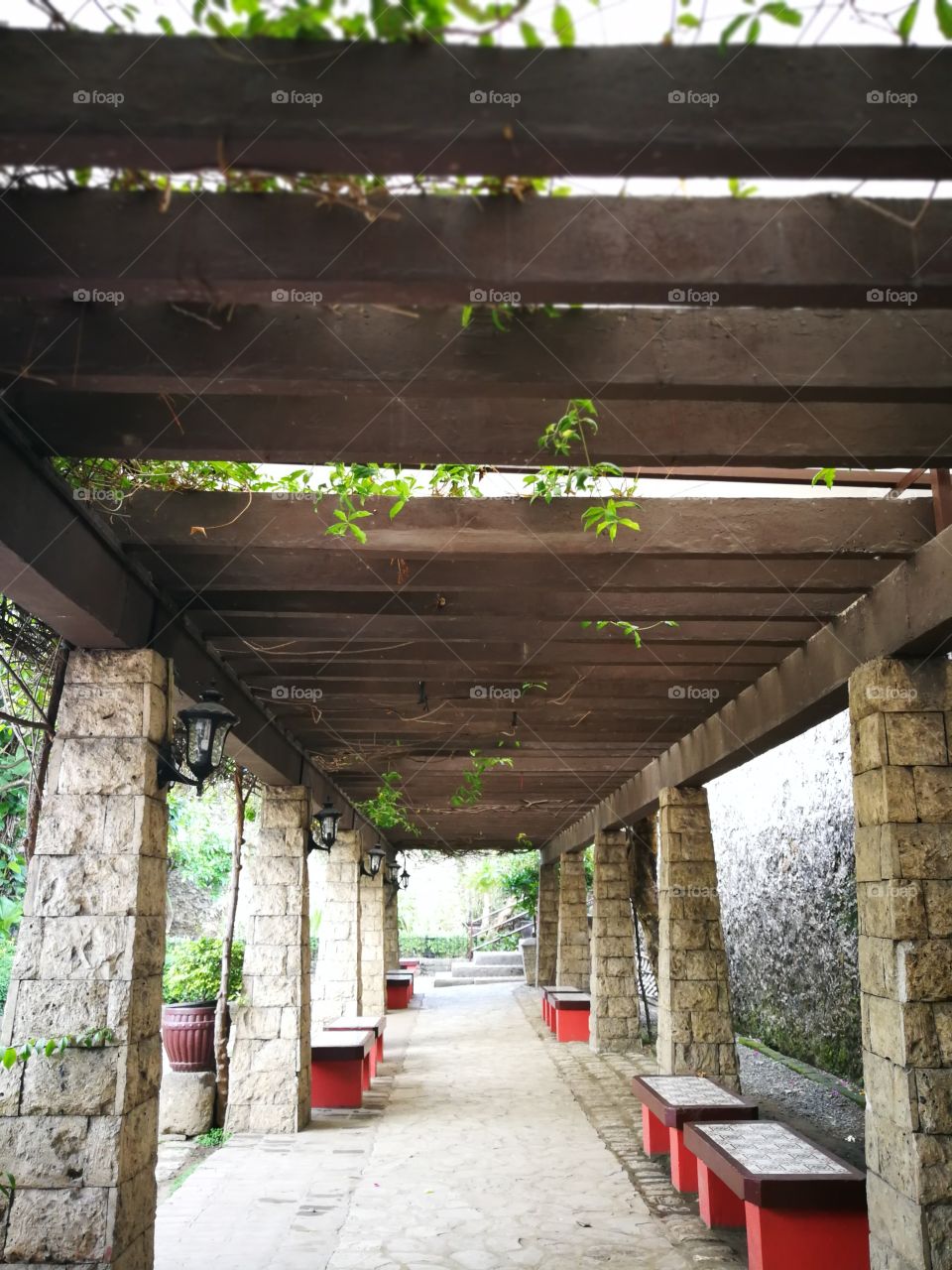 Knowledge Creativity Strategy Advocacy