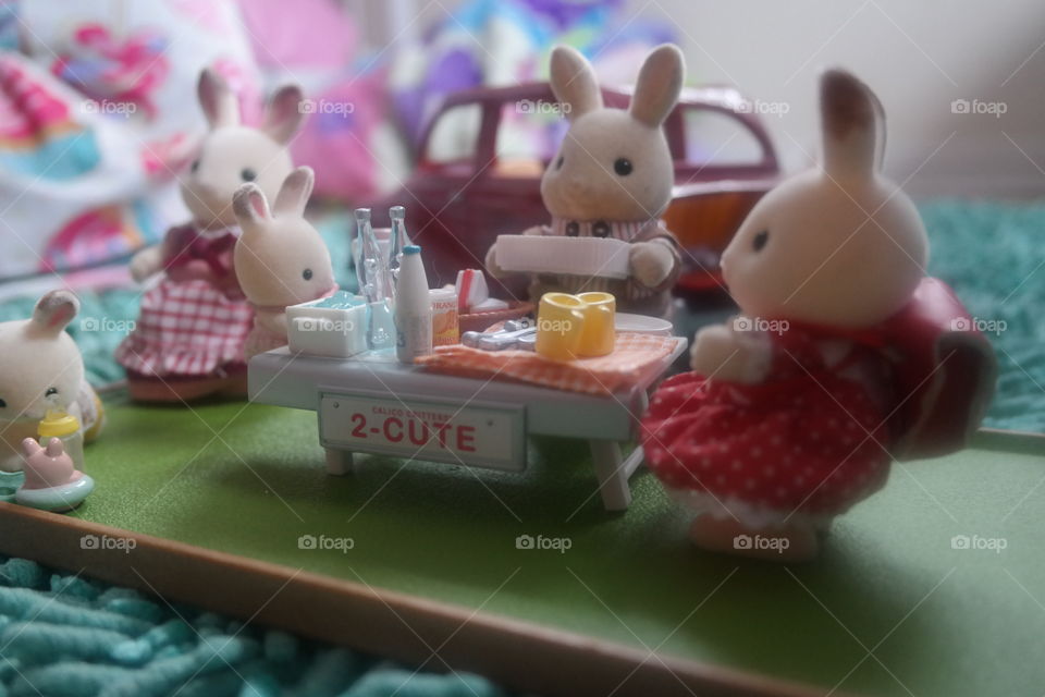 Daddy bunny sets up picnic for bunny family at park