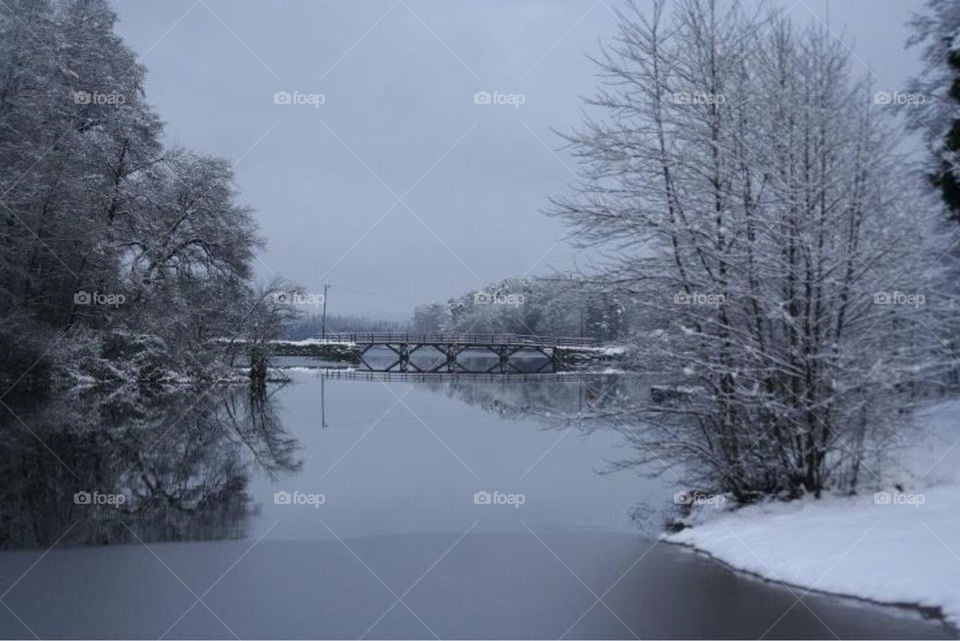 snow winter ocean ice by paula