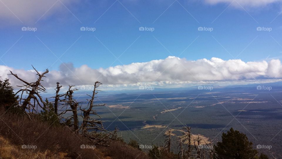 view from Oregon hike. Oregon Hike