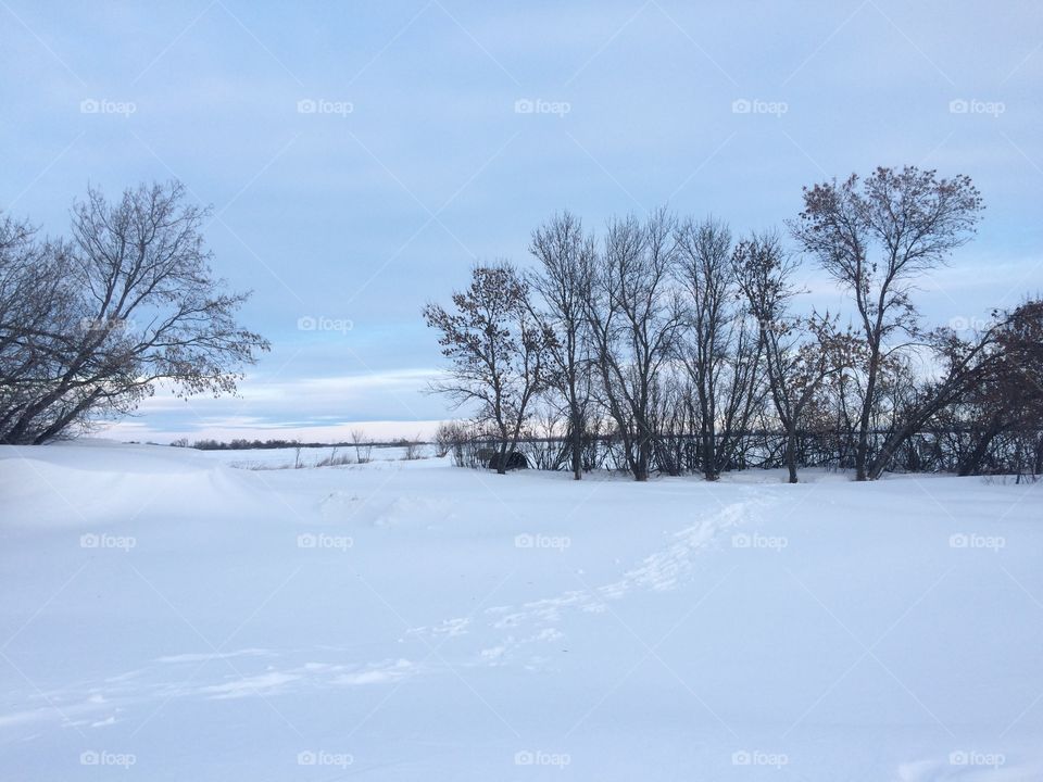 Snow bank 