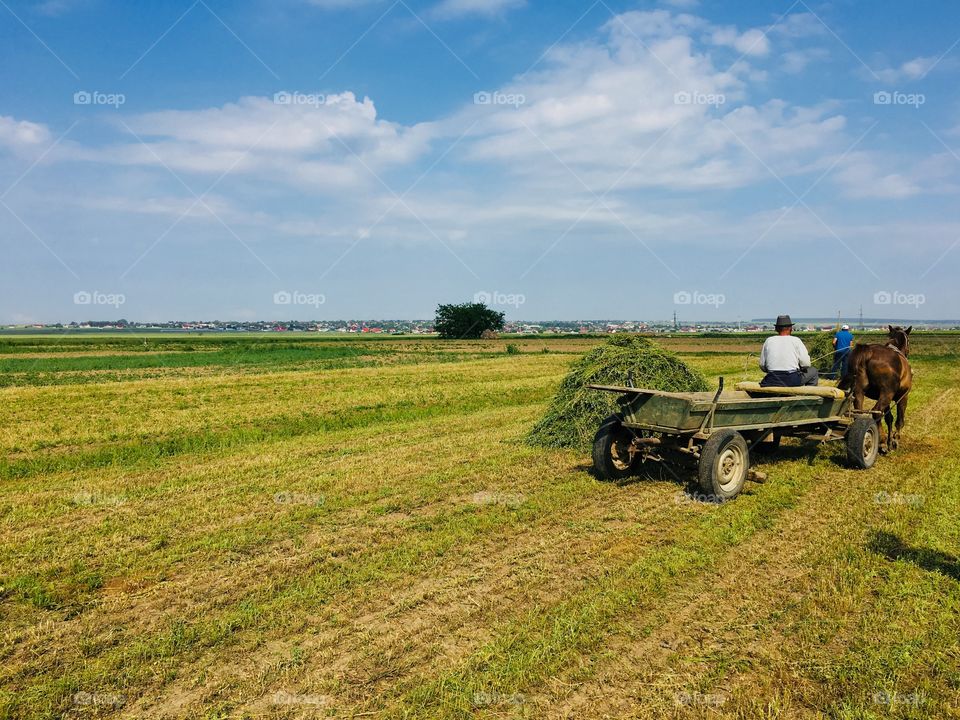 Countryside