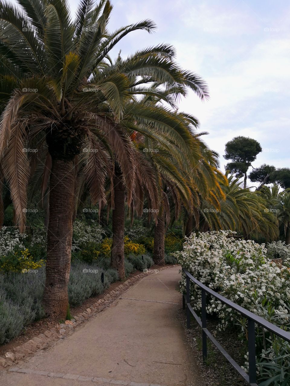 Parque Güell