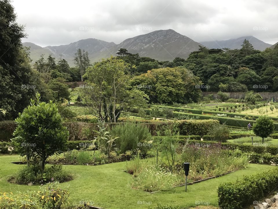 Castle garden, Ireland