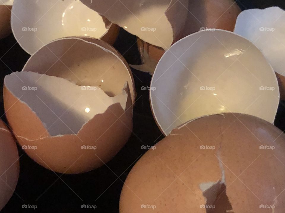 Egg shells