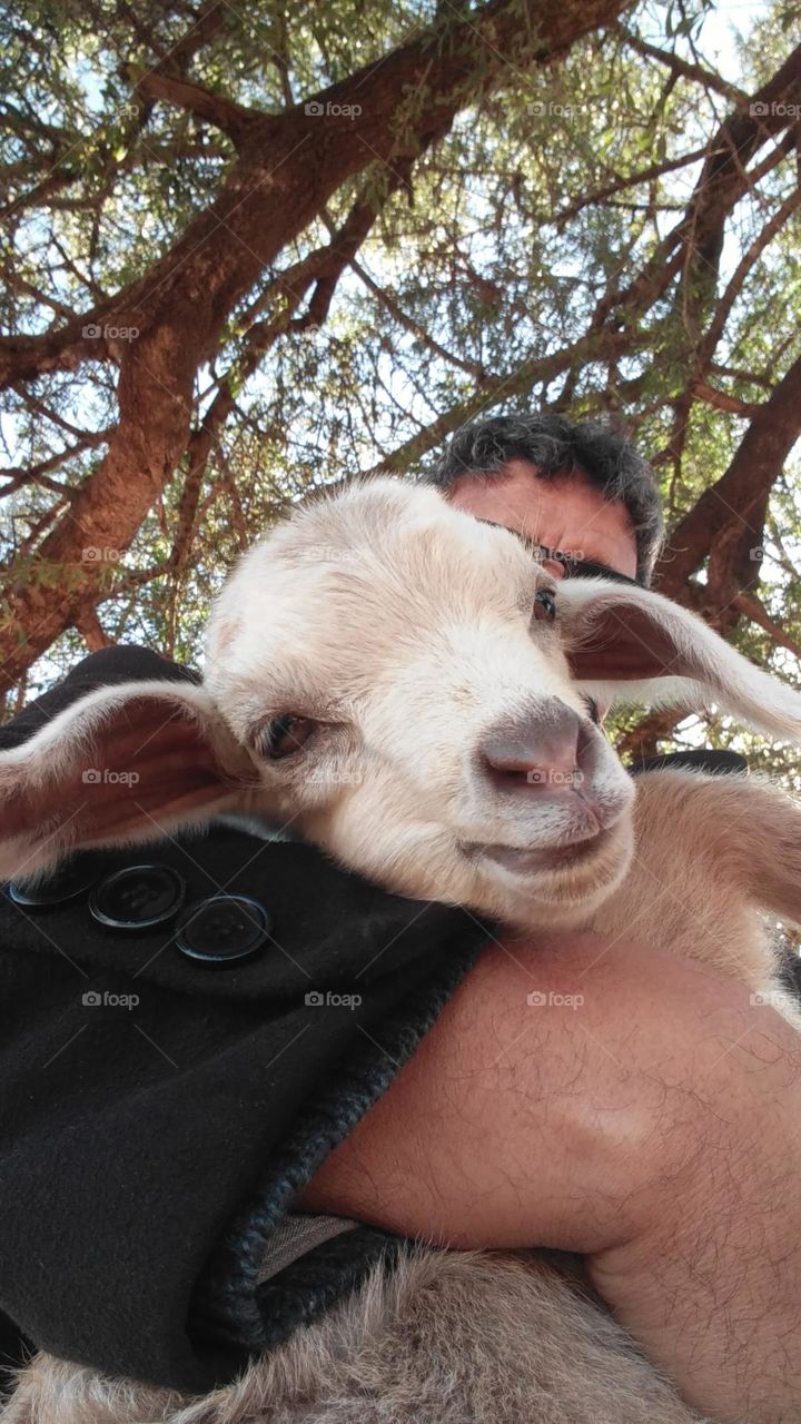 Im holding a beautiful lamb.