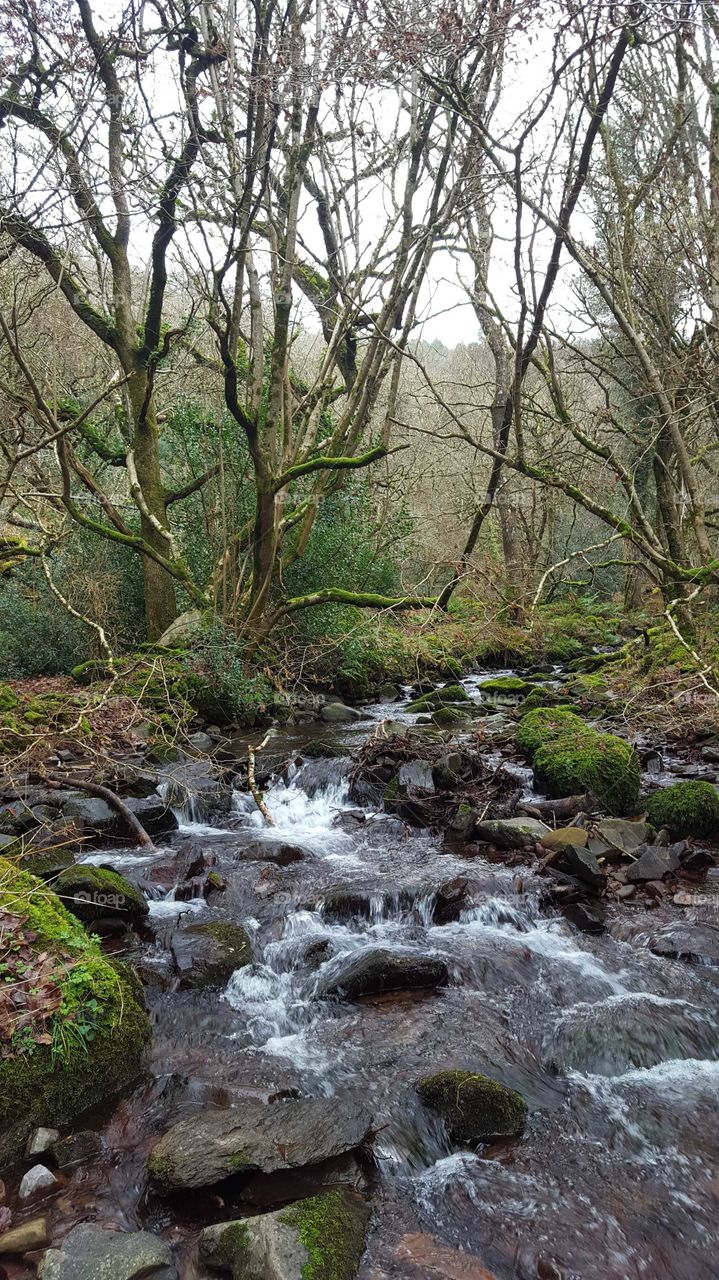 Dunkery hill, North Devon