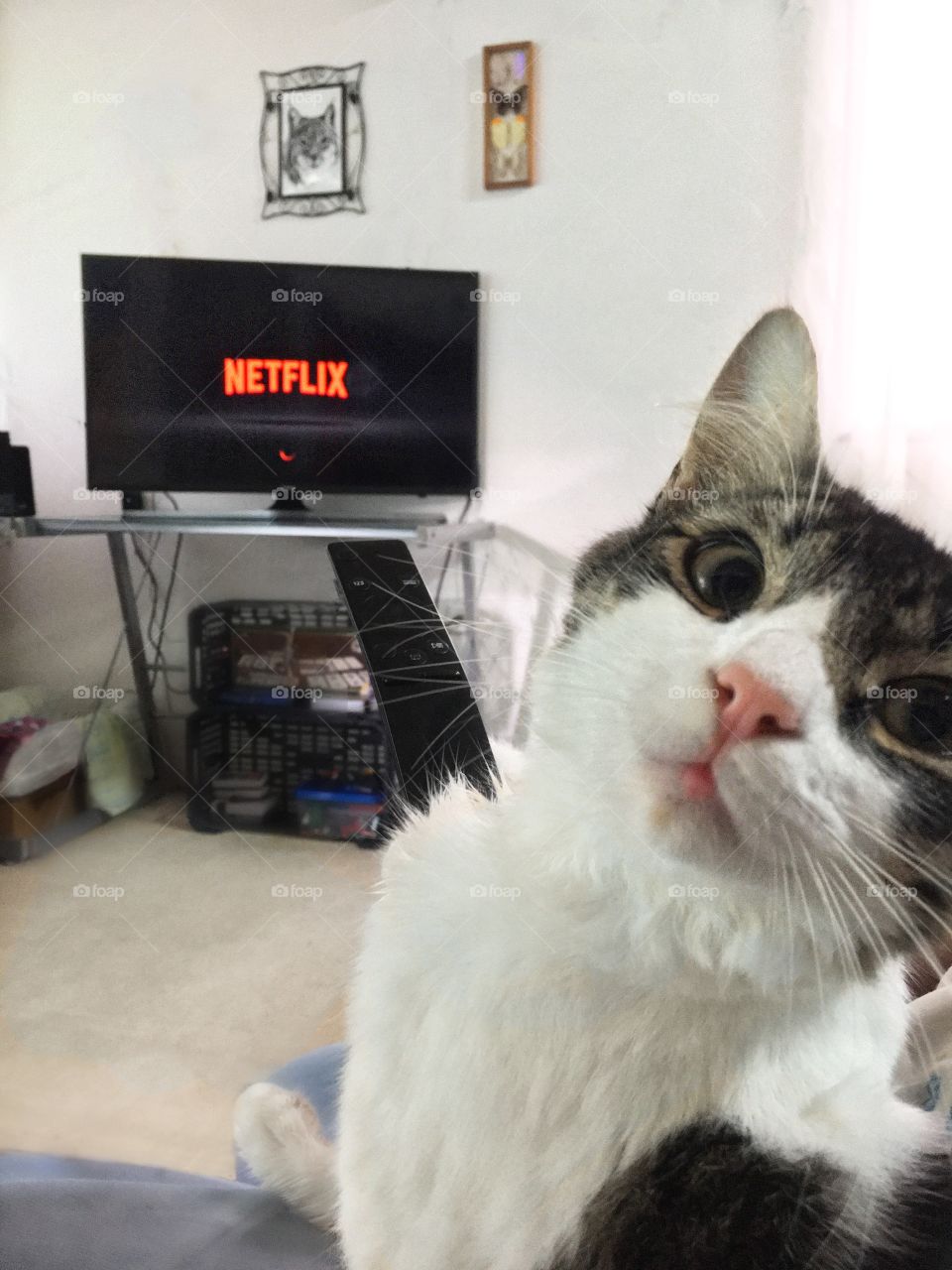 Netflix es para todos