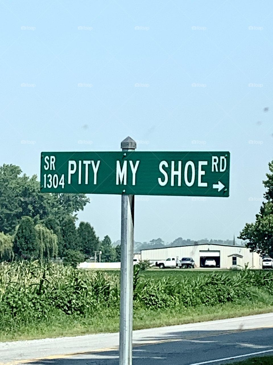 Pity My Shoe Rd