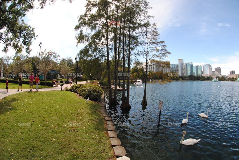 Lake Eola Park, Orlando