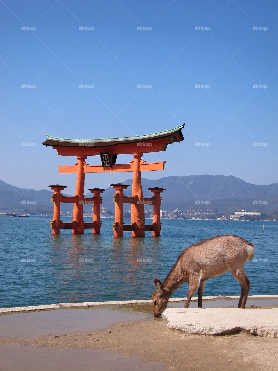 Miyajima