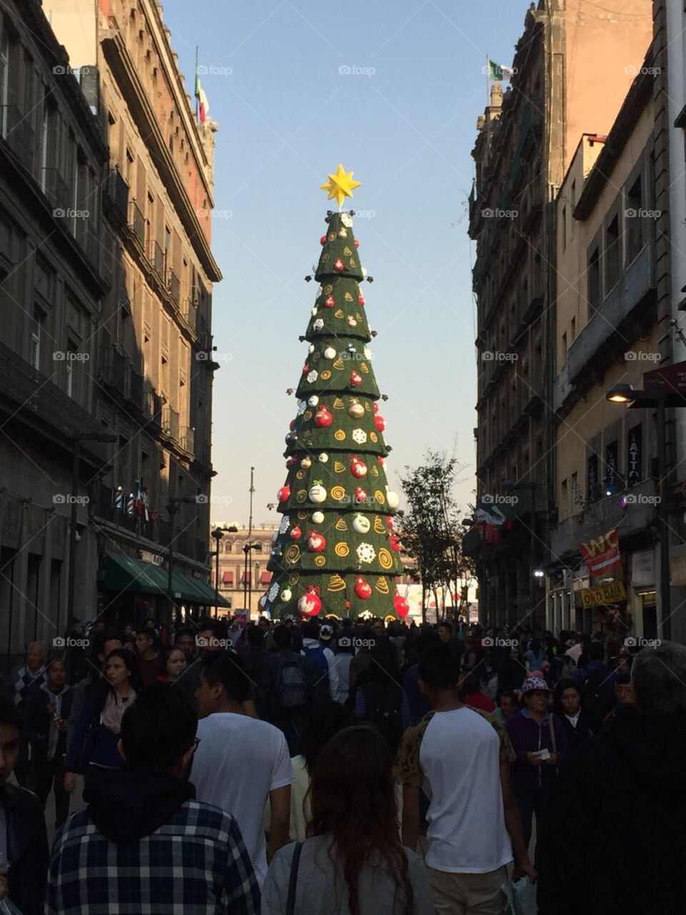 Plaza Christmas tree 