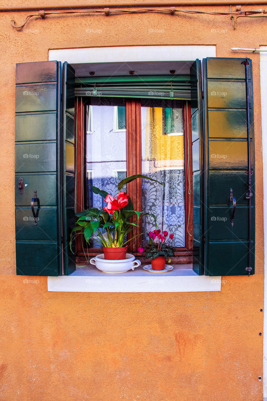 Having a plant pot on the outside of your window