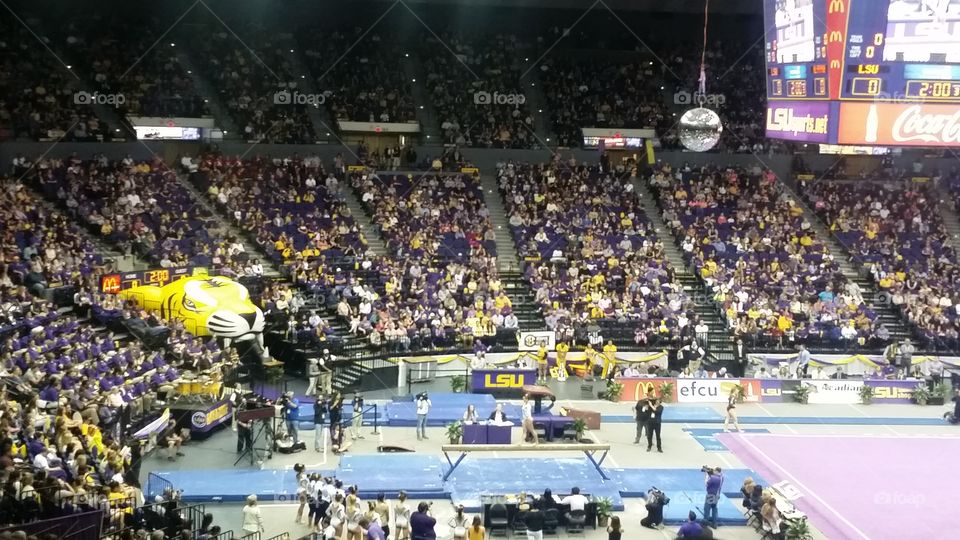 LSU gymnastics