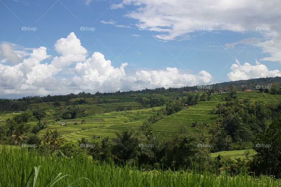 Ubud, Bali 