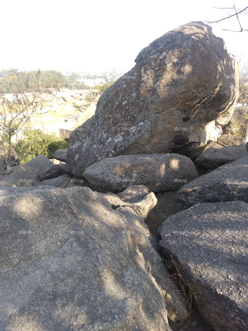 Rock Garden
Rocks
