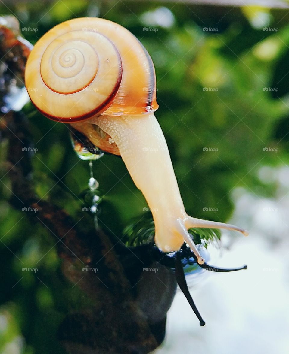 Drinking water make me healthier!!