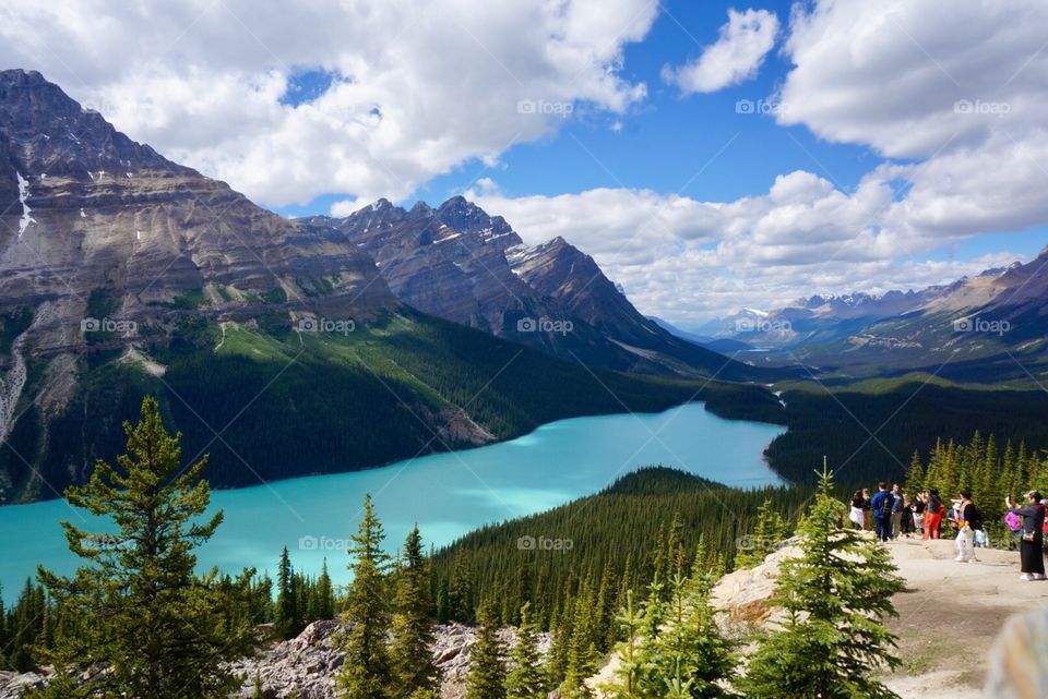 The Peyto Lake in Canada
