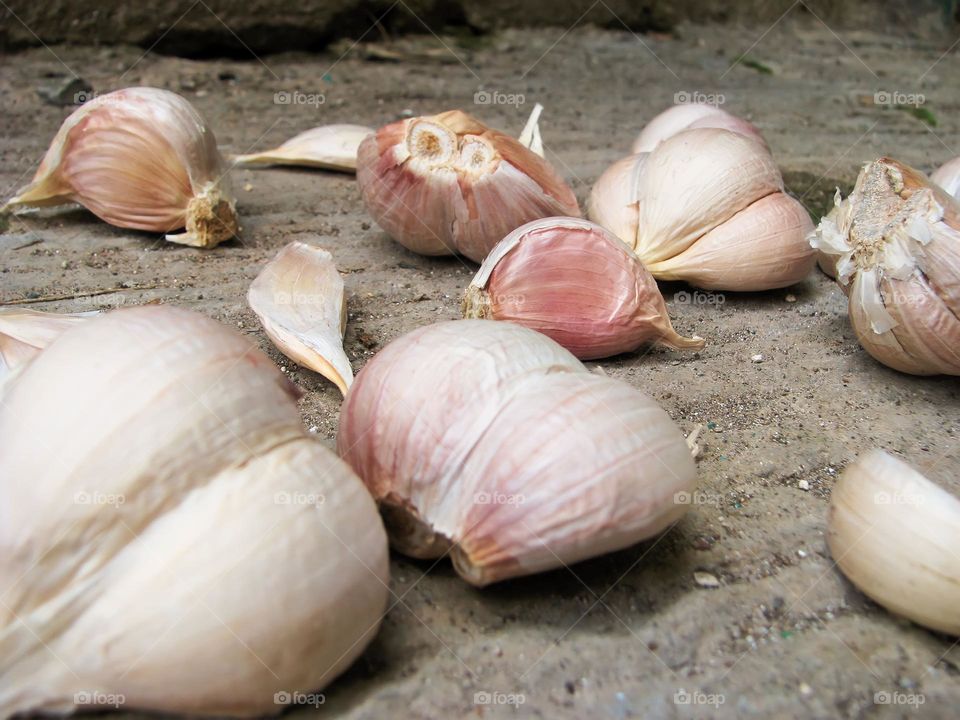 Close-up of garlic on the ground