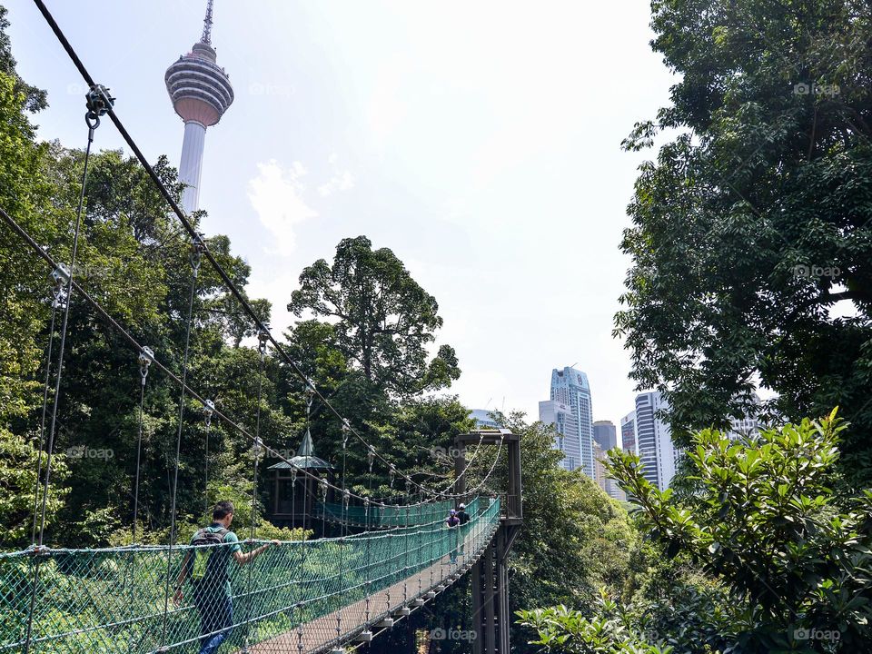 Canopy walk in KL Ecopark