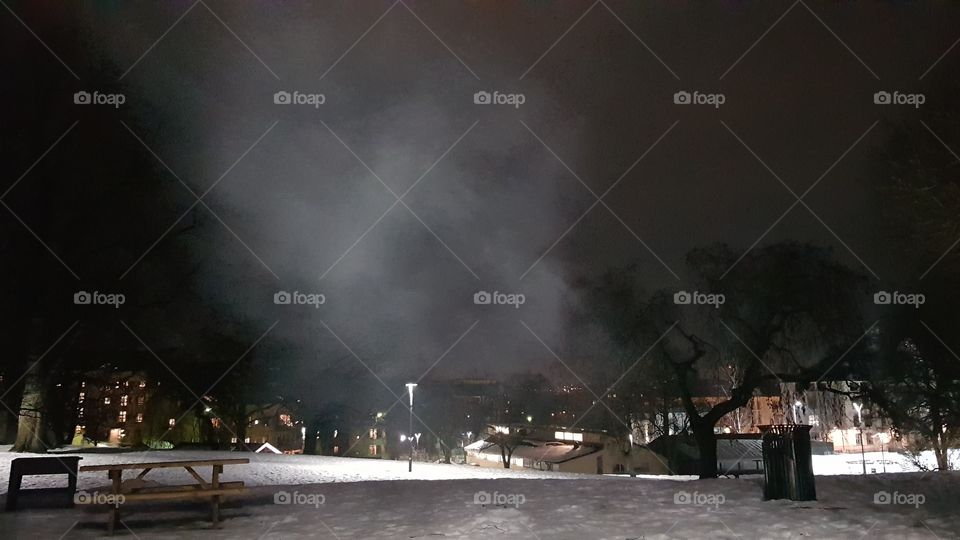 A park in Oslo'In'Norway