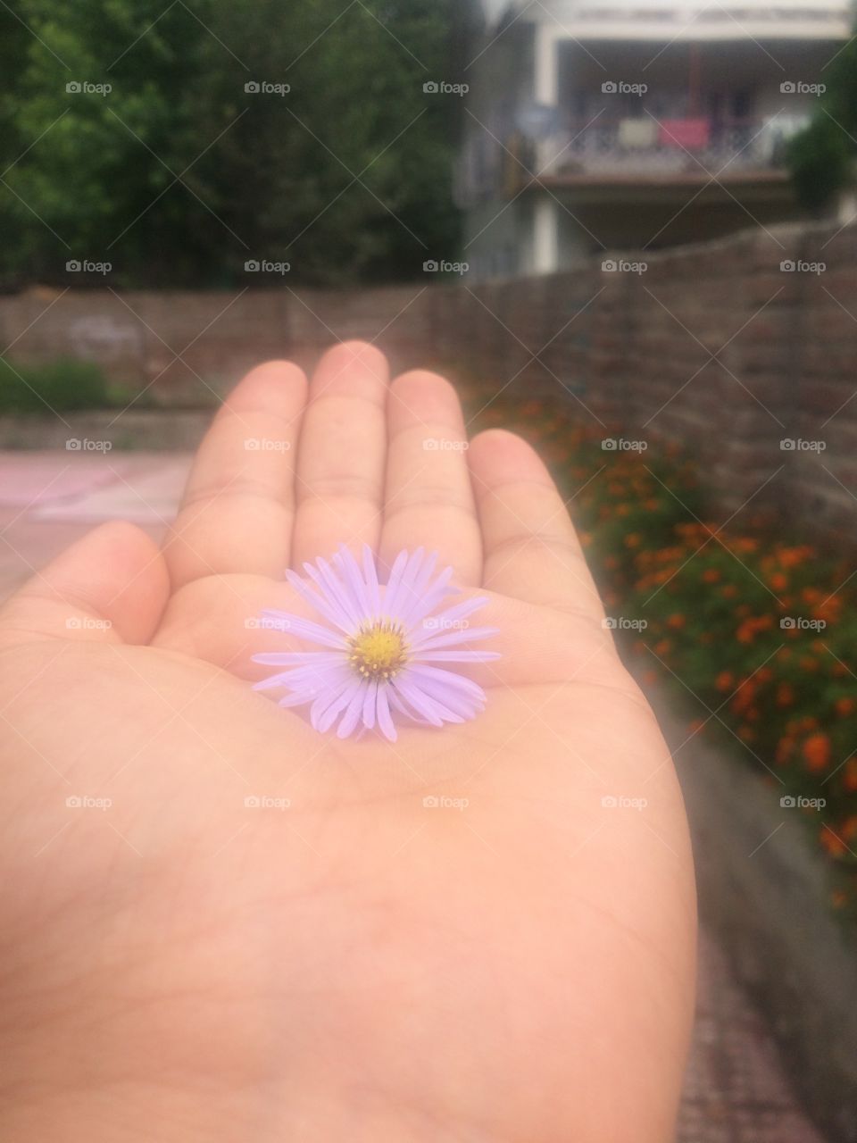 Flower love it