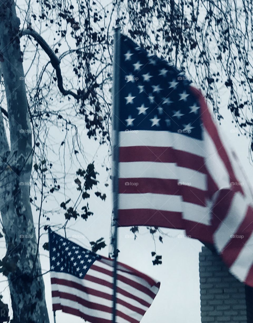 Two American flags flying in the wind against the blue skies in California, USA, America. 
