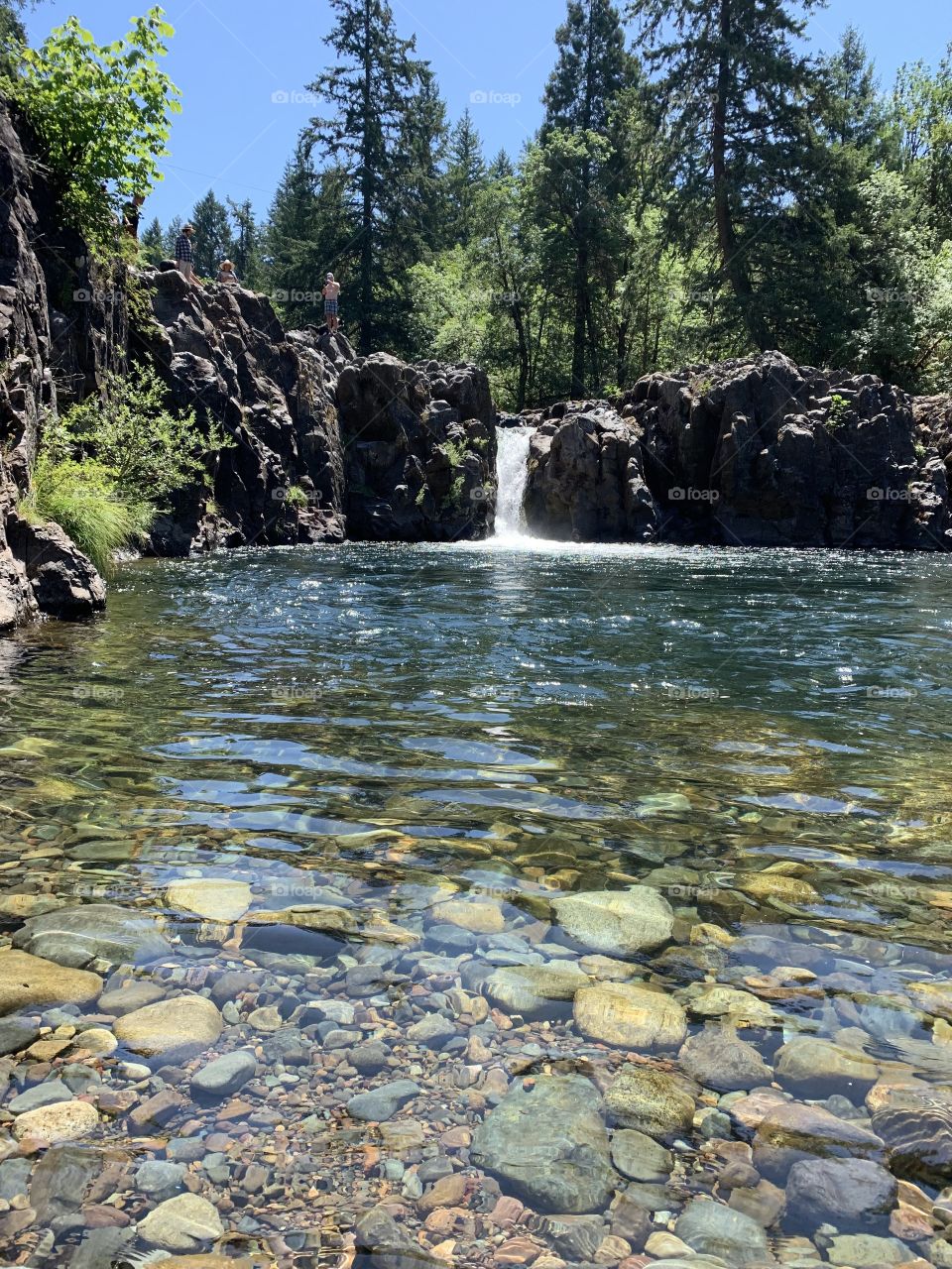 Watering hole in Oregon 