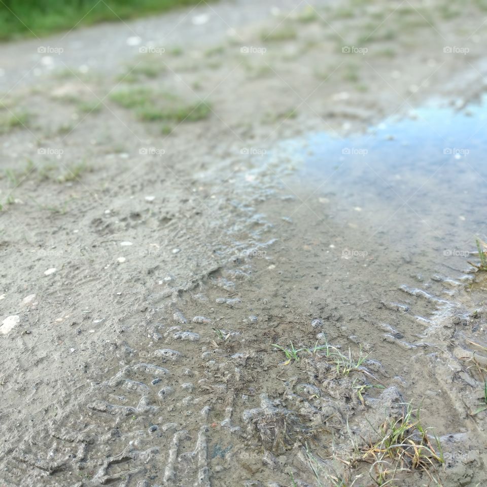 puddle