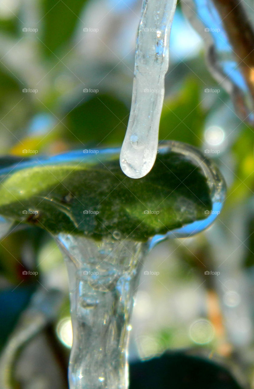 Marco photography: It's all about getting down and getting dirty. There is nothing more satisfying than to make a object such as an insect, rock, or flower into a Macro photograph!