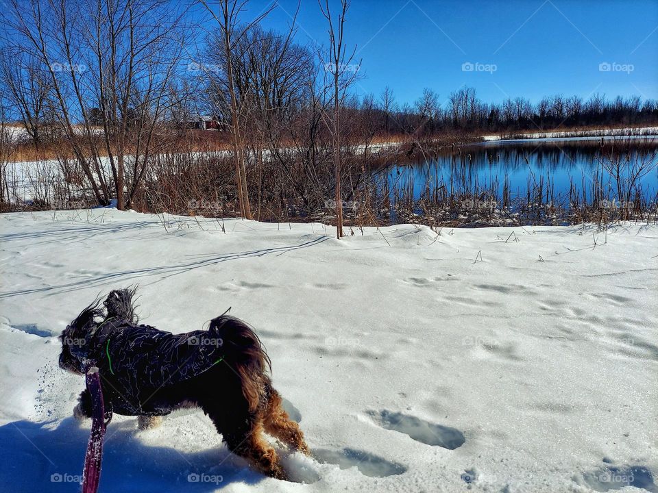 Running in Snow