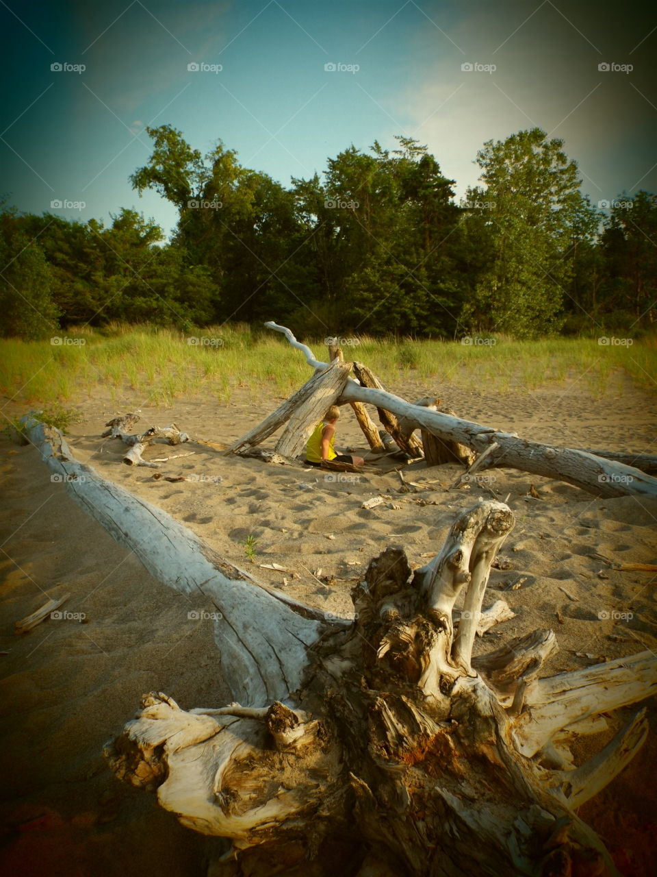 driftwood creation