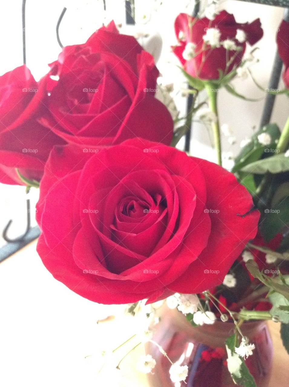 Roses are red!