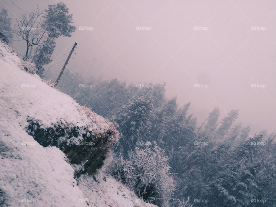 snow falling in Himachal Pradesh in India