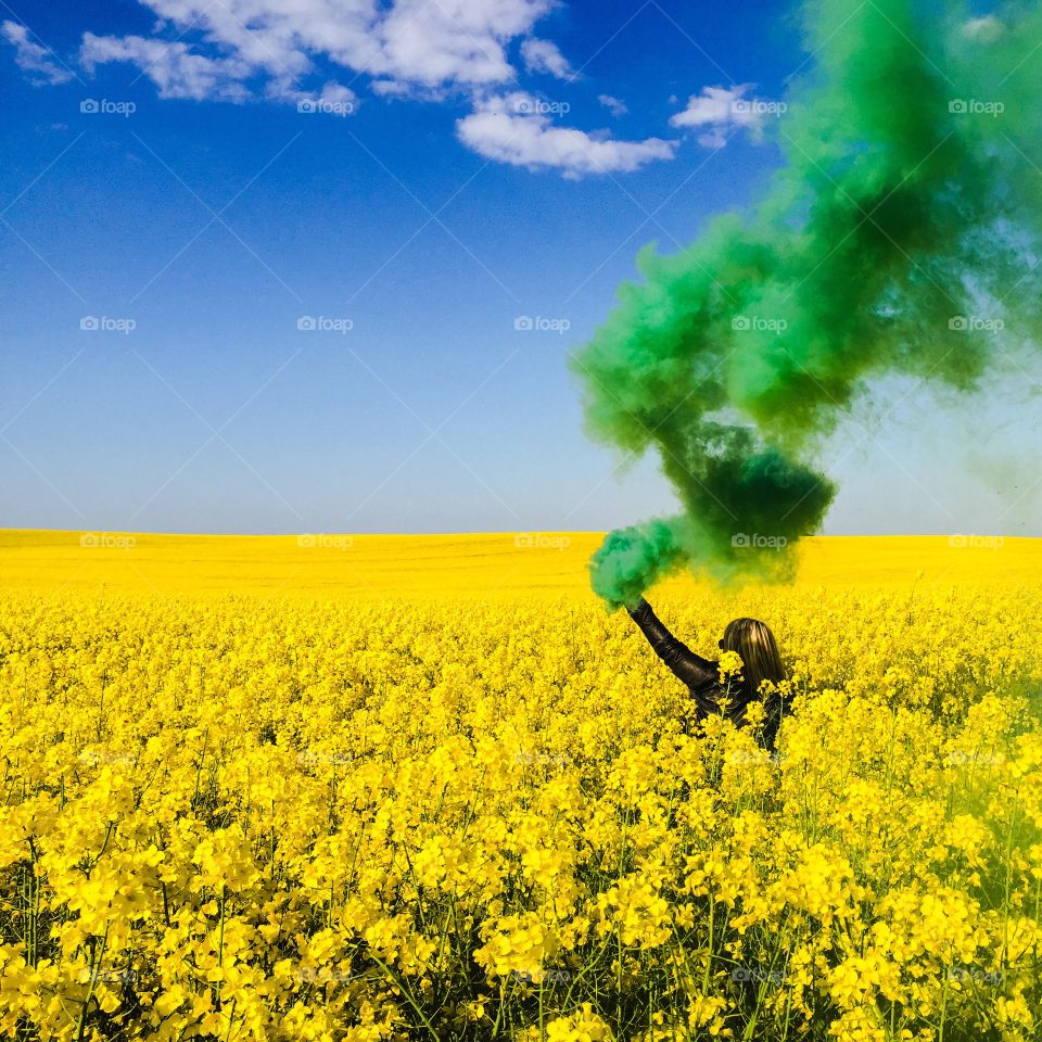 Field, Agriculture, Landscape, Nature, Flower